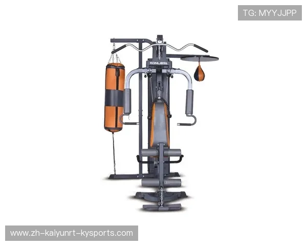 通化康乐佳健身器材产品及其促进体育运动健康发展的方案